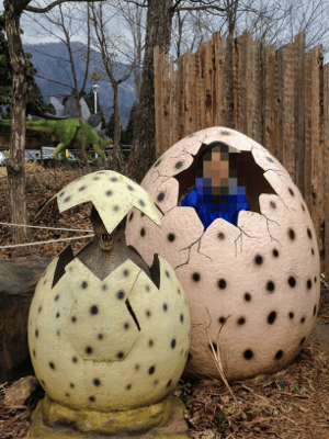 恐竜の卵